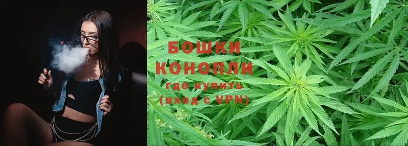 Марихуана SATIVA & INDICA  Оса 